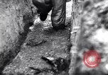 Image of Pripet Marshes Ukraine, 1944, second 7 stock footage video 65675038844