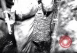 Image of Pripet Marshes Ukraine, 1944, second 8 stock footage video 65675038844