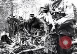 Image of Pripet Marshes Ukraine, 1944, second 11 stock footage video 65675038844