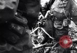 Image of Pripet Marshes Ukraine, 1944, second 14 stock footage video 65675038844