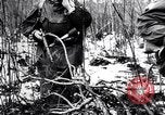 Image of Pripet Marshes Ukraine, 1944, second 19 stock footage video 65675038844