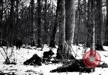 Image of Pripet Marshes Ukraine, 1944, second 21 stock footage video 65675038844