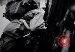 Image of Pripet Marshes Ukraine, 1944, second 22 stock footage video 65675038844