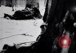 Image of Pripet Marshes Ukraine, 1944, second 23 stock footage video 65675038844