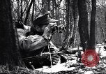 Image of Pripet Marshes Ukraine, 1944, second 25 stock footage video 65675038844