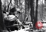 Image of Pripet Marshes Ukraine, 1944, second 26 stock footage video 65675038844