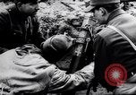 Image of Pripet Marshes Ukraine, 1944, second 32 stock footage video 65675038844