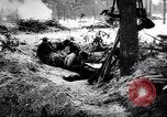 Image of Pripet Marshes Ukraine, 1944, second 37 stock footage video 65675038844