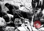 Image of Pripet Marshes Ukraine, 1944, second 45 stock footage video 65675038844