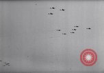 Image of Pripet Marshes Ukraine, 1944, second 53 stock footage video 65675038844