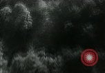 Image of RAF 342 Squadron France, 1944, second 54 stock footage video 65675038864