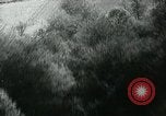 Image of RAF 342 Squadron France, 1944, second 55 stock footage video 65675038864