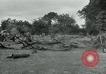 Standbild USA Ordnance Soldaten Balleroy Frankreich, 1944, aus Sekunde 11 historischem Filmmaterial Videoclip 65675038870