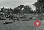 Standbild USA Ordnance Soldaten Balleroy Frankreich, 1944, aus Sekunde 12 historischem Filmmaterial Videoclip 65675038870