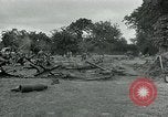 Standbild USA Ordnance Soldaten Balleroy Frankreich, 1944, aus Sekunde 13 historischem Filmmaterial Videoclip 65675038870