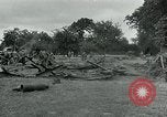 Standbild USA Ordnance Soldaten Balleroy Frankreich, 1944, aus Sekunde 16 historischem Filmmaterial Videoclip 65675038870