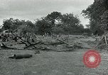 Standbild USA Ordnance Soldaten Balleroy Frankreich, 1944, aus Sekunde 17 historischem Filmmaterial Videoclip 65675038870