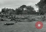 Standbild USA Ordnance Soldaten Balleroy Frankreich, 1944, aus Sekunde 18 historischem Filmmaterial Videoclip 65675038870