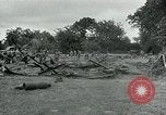 Standbild USA Ordnance Soldaten Balleroy Frankreich, 1944, aus Sekunde 19 historischem Filmmaterial Videoclip 65675038870