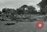 Standbild USA Ordnance Soldaten Balleroy Frankreich, 1944, aus Sekunde 21 historischem Filmmaterial Videoclip 65675038870