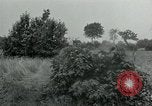 Standbild USA Soldaten Balleroy Frankreich, 1944, aus Sekunde 17 historischem Filmmaterial Videoclip 65675038871