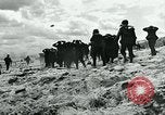 Standbild deutschen Kriegsgefangenen Nordfrankreich, 1944, aus Sekunde 30 historischem Filmmaterial Videoclip 65675038876