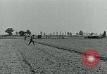 Image Les parachutistes des États-Unis cherchent des indications auprès de la population locale Holland Hollande, 1944, de la seconde 26 séquences d'archives historiques vidéo 65675038888