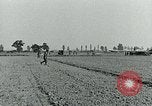 Image Les parachutistes des États-Unis cherchent des indications auprès de la population locale Holland Hollande, 1944, de la seconde 30 séquences d'archives historiques vidéo 65675038888