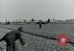 Image Les parachutistes des États-Unis cherchent des indications auprès de la population locale Holland Hollande, 1944, de la seconde 38 séquences d'archives historiques vidéo 65675038888