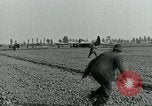 Image Les parachutistes des États-Unis cherchent des indications auprès de la population locale Holland Hollande, 1944, de la seconde 39 séquences d'archives historiques vidéo 65675038888