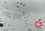 Image C-47 Avion Holland Hollande, 1944, de la seconde 28 séquences d'archives historiques vidéo 65675038889