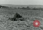 Image C-47 Avion Holland Hollande, 1944, de la seconde 45 séquences d'archives historiques vidéo 65675038889