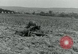 Image C-47 Avion Holland Hollande, 1944, de la seconde 46 séquences d'archives historiques vidéo 65675038889