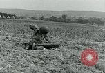 Image C-47 Avion Holland Hollande, 1944, de la seconde 52 séquences d'archives historiques vidéo 65675038889