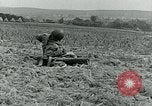 Image C-47 Avion Holland Hollande, 1944, de la seconde 53 séquences d'archives historiques vidéo 65675038889
