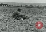 Image C-47 Avion Holland Hollande, 1944, de la seconde 61 séquences d'archives historiques vidéo 65675038889