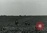 Standbild American glider Holland Niederlande, 1944, aus Sekunde 28 historischem Filmmaterial Videoclip 65675038890