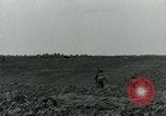 Standbild American glider Holland Niederlande, 1944, aus Sekunde 29 historischem Filmmaterial Videoclip 65675038890