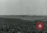 Standbild American glider Holland Niederlande, 1944, aus Sekunde 43 historischem Filmmaterial Videoclip 65675038890