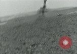 Standbild American glider Holland Niederlande, 1944, aus Sekunde 51 historischem Filmmaterial Videoclip 65675038890