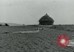 Standbild American glider Holland Niederlande, 1944, aus Sekunde 61 historischem Filmmaterial Videoclip 65675038890