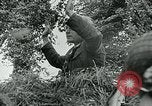 Standbild Vereinigten Staaten Truppen Saint Marcouf Frankreich, 1944, aus Sekunde 38 historischem Filmmaterial Videoclip 65675038895