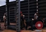 Immagine di Ubon Royal Thai Air Force Base Ubon Ratchathani Thailandia, 1968, secondo 40 filmato di repertorio 65675038898