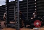 Immagine di Ubon Royal Thai Air Force Base Ubon Ratchathani Thailandia, 1968, secondo 43 filmato di repertorio 65675038898