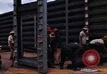 Immagine di Ubon Royal Thai Air Force Base Ubon Ratchathani Thailandia, 1968, secondo 45 filmato di repertorio 65675038898