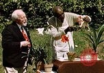 Image of George Washington Carver United States USA, 1942, second 6 stock footage video 65675038922