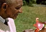 Image of George Washington Carver United States USA, 1942, second 41 stock footage video 65675038922