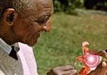 Image of George Washington Carver United States USA, 1942, second 46 stock footage video 65675038922