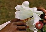 Image of George Washington Carver United States USA, 1942, second 52 stock footage video 65675038922