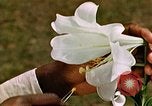 Image of George Washington Carver United States USA, 1942, second 54 stock footage video 65675038922